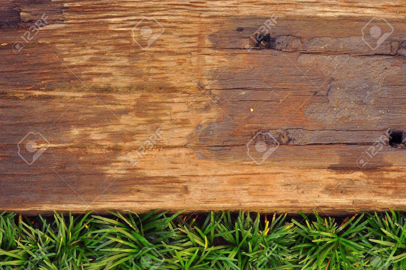 wood sleeper decoration in garden stock photo, picture and royalty wood sleeper decoration in garden stock photo, picture and royalty