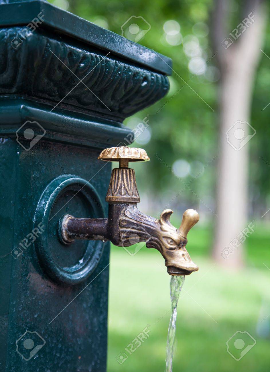 Backyard faucet and drinking fountain