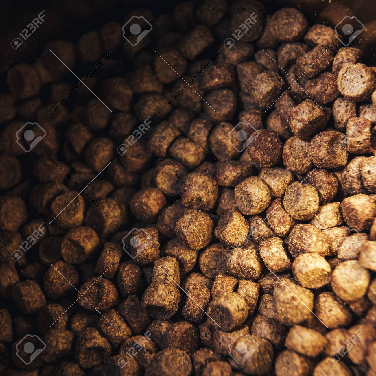 Macro De Fond De Nourriture Pour Chiens Et Chats Séchés Fond Décran Pour Les Aliments Pour Chats