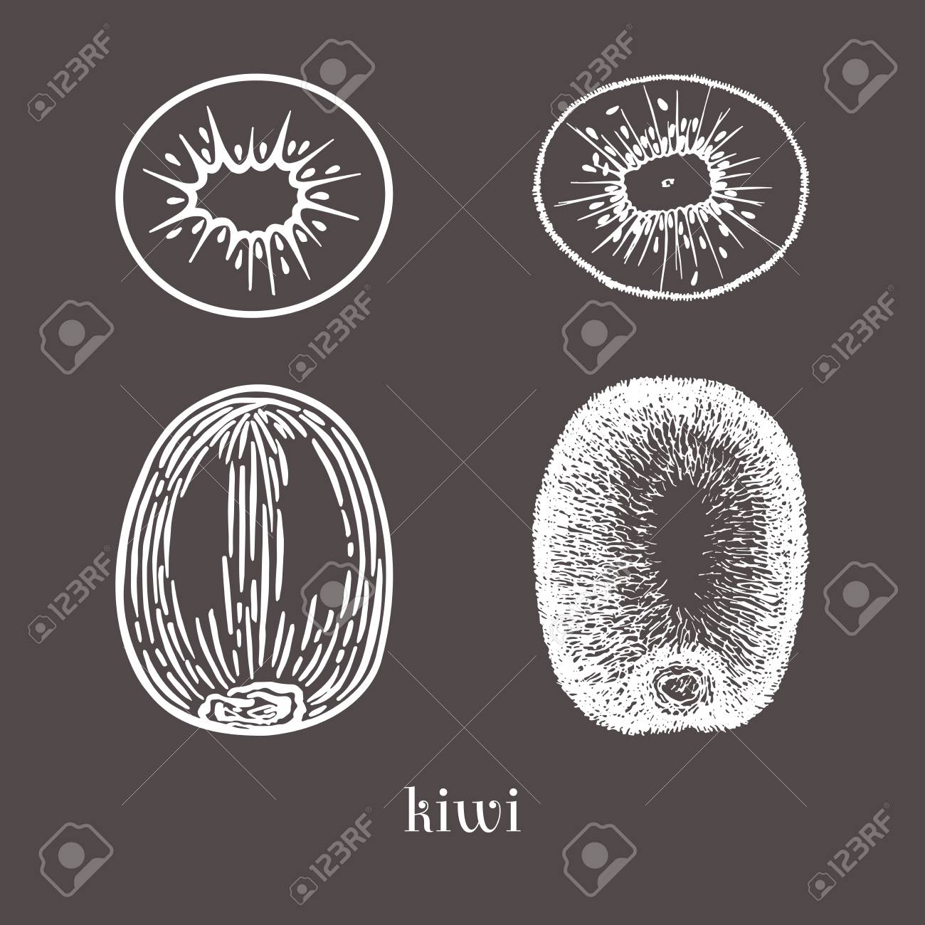 セット手描きのキウイ フルーツは イラストを分離しました スタイルをスケッチします の写真素材 画像素材 Image 75638786