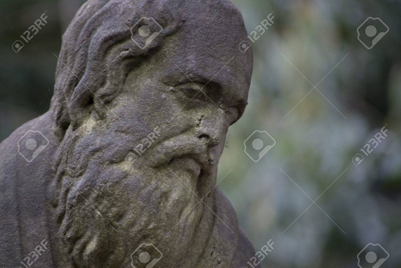 etiam-dictum-ipsum-a-felis