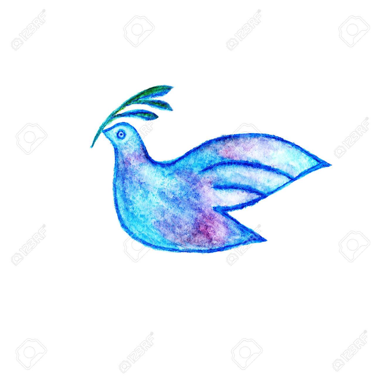 平和のシンボルのオリーブの枝水彩鉛筆の描画と鳩 の写真素材 画像素材 Image
