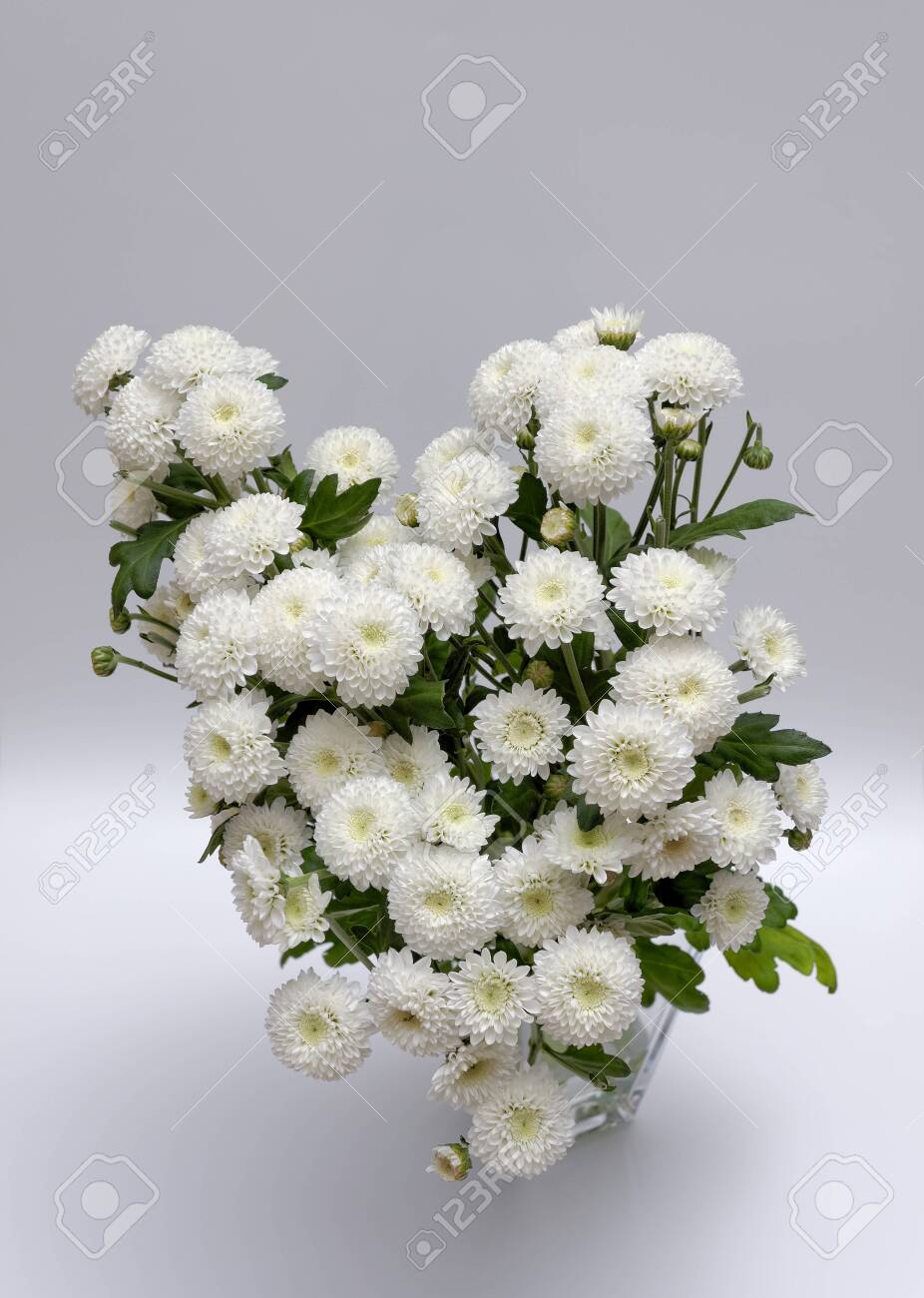 A bouquet of white flowers of Margaret's yawn proper in a nice frame - 148350595 A bouquet of white flowers of Margaret's yawn proper in a nice frame - 148350595
