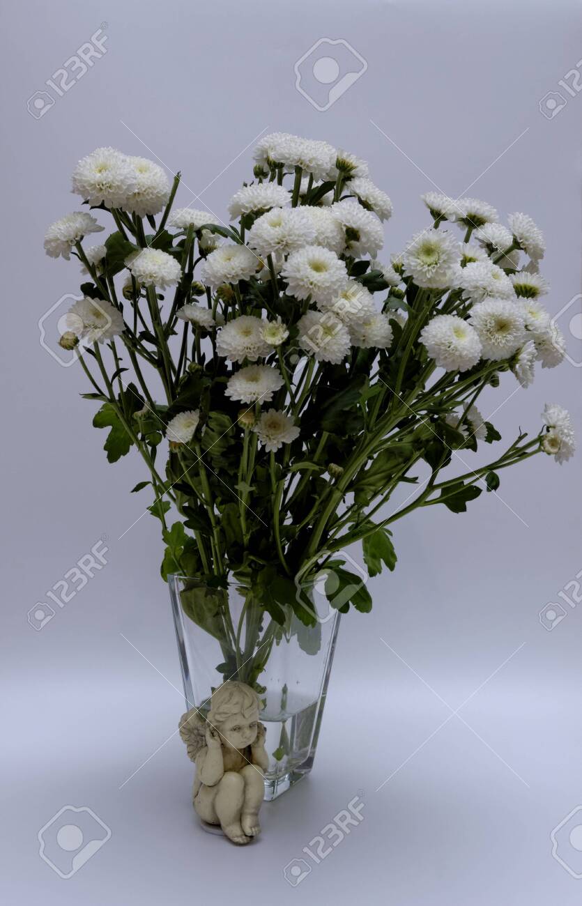 A bouquet of white flowers of Margaret's yawn proper in a nice frame - 148350618 A bouquet of white flowers of Margaret's yawn proper in a nice frame - 148350618
