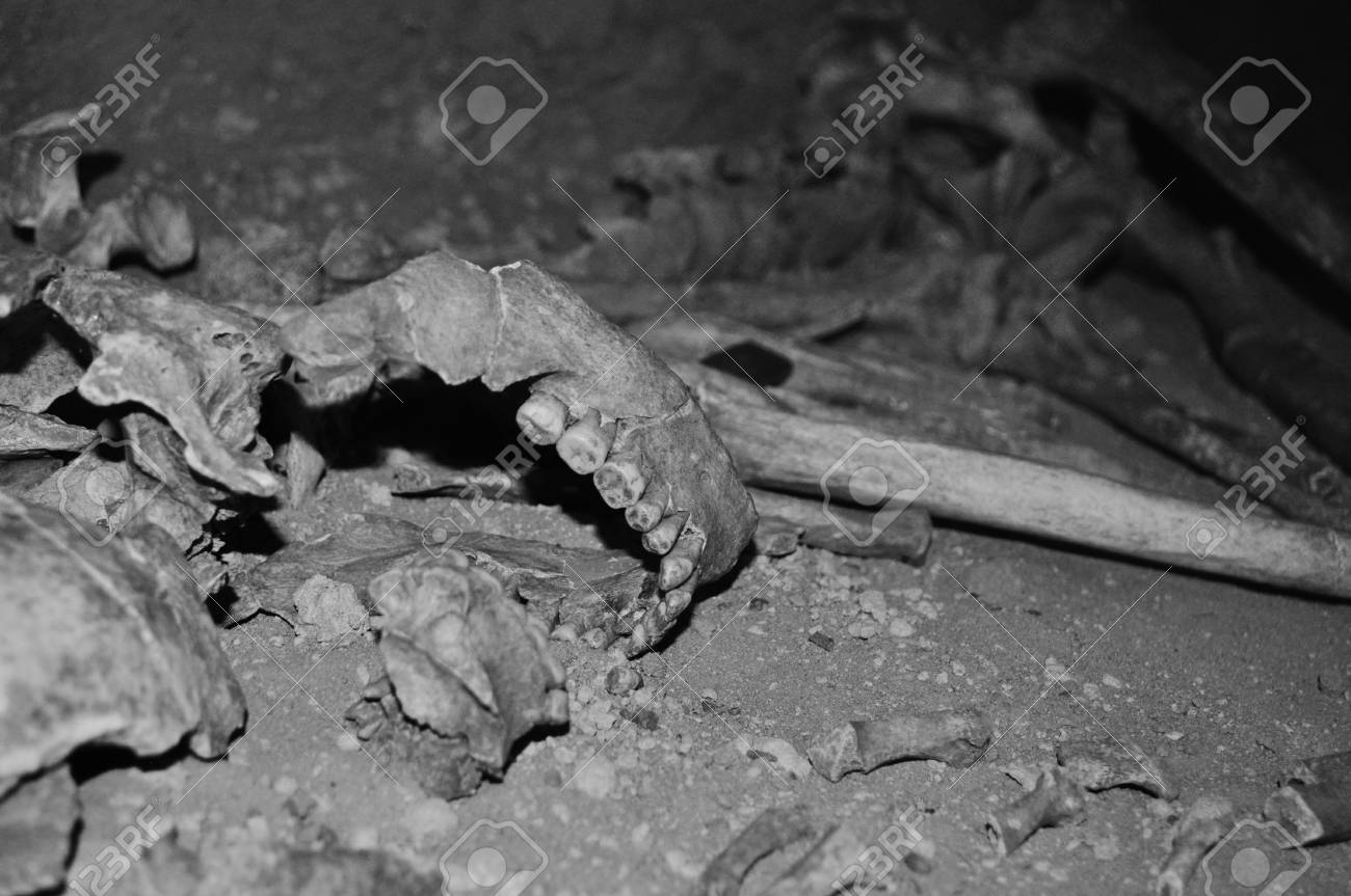 etiam-dictum-ipsum-a-felis