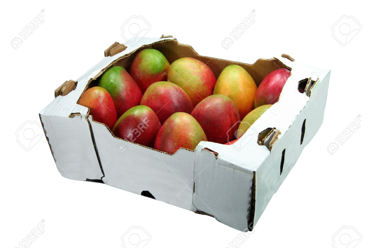 One Box Mangoes Stock Photo, Picture 