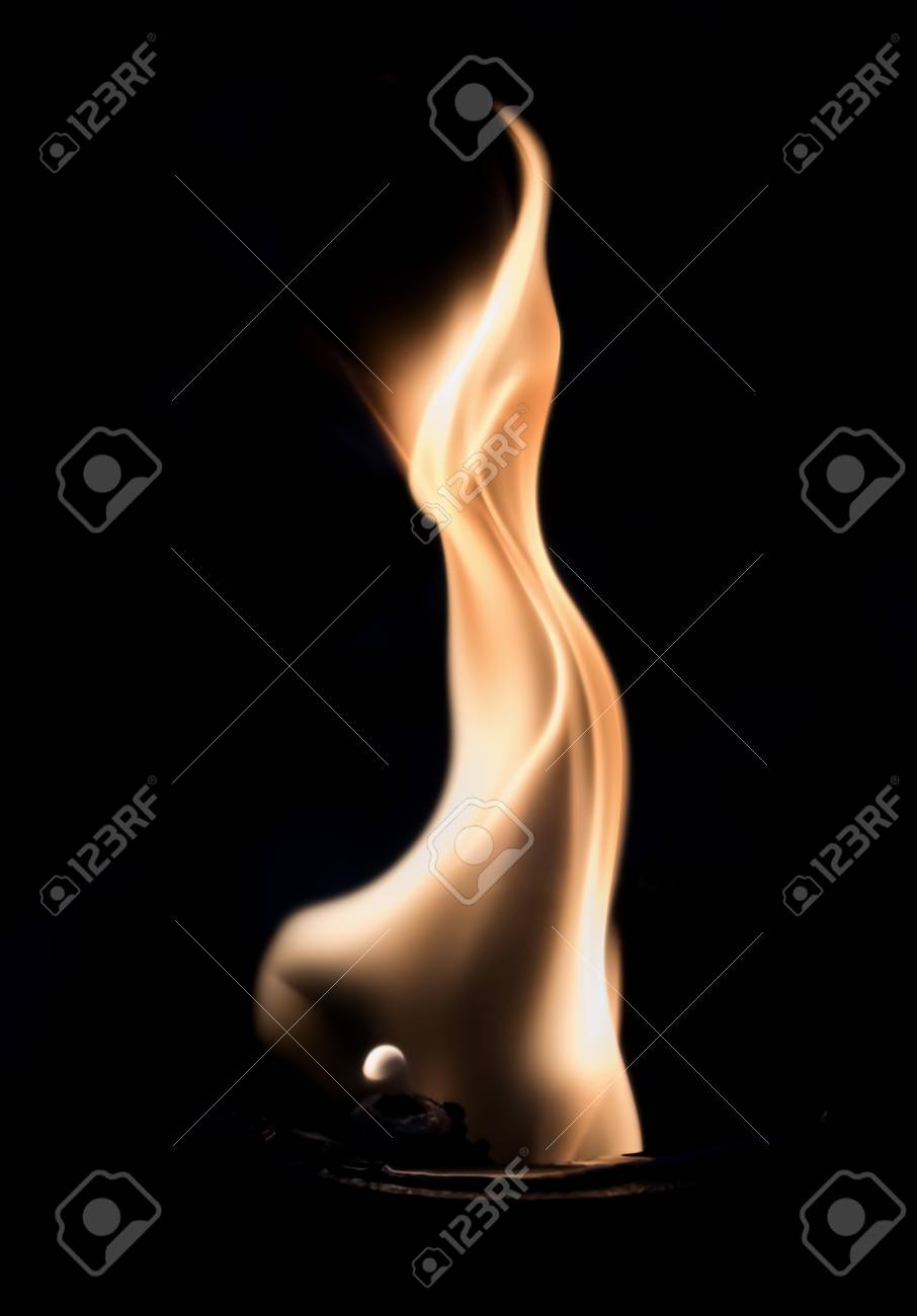 etiam-dictum-ipsum-a-felis