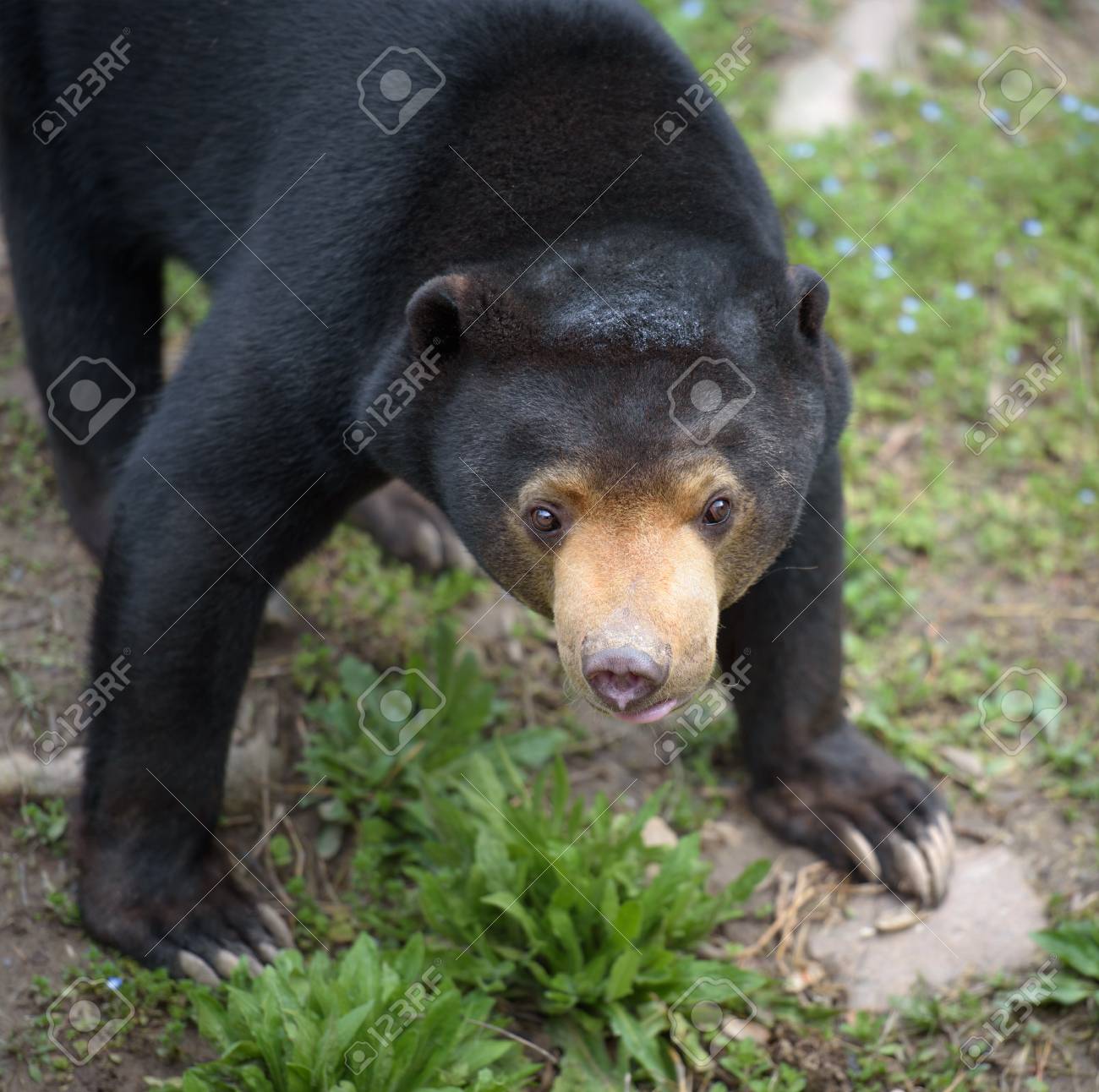 etiam-dictum-ipsum-a-felis