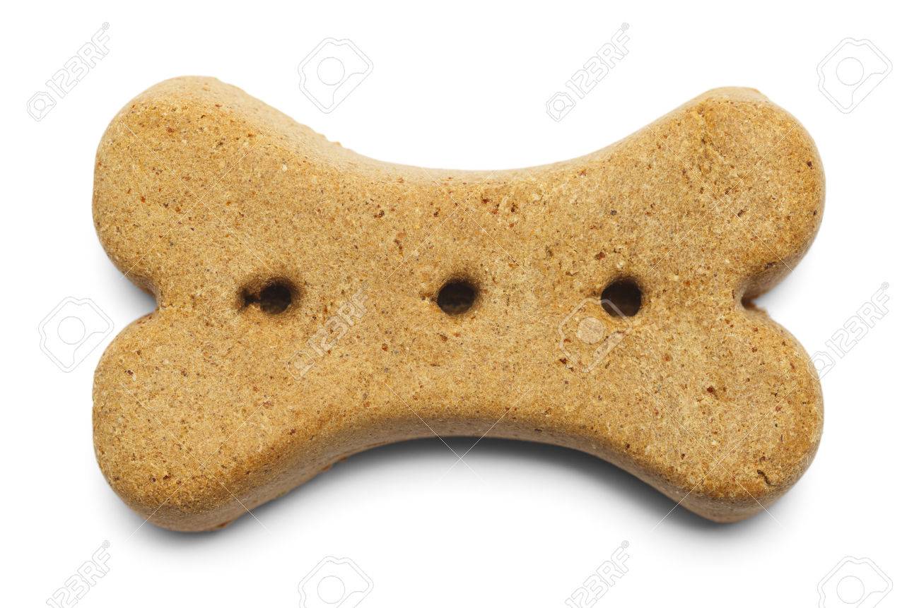 dog bone biscuit