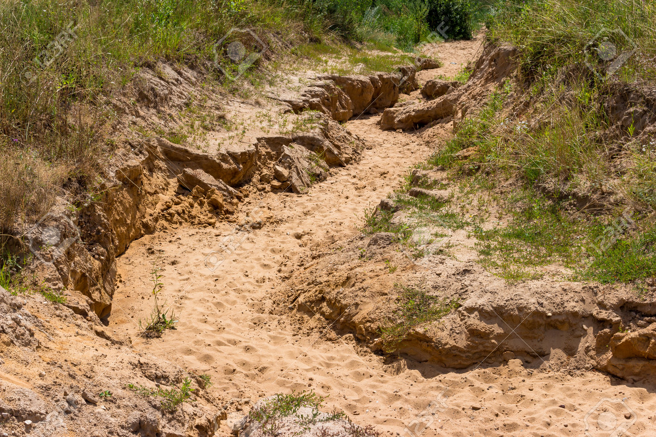 雨水による砂質土壌の侵食、峡谷の形成、土壌侵食の写真素材・画像素材 Image 172623966