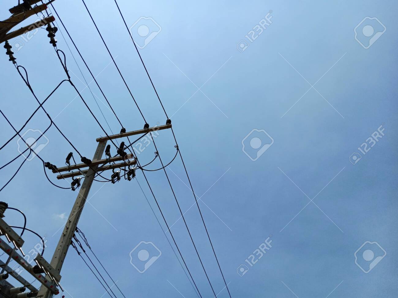 etiam-dictum-ipsum-a-felis