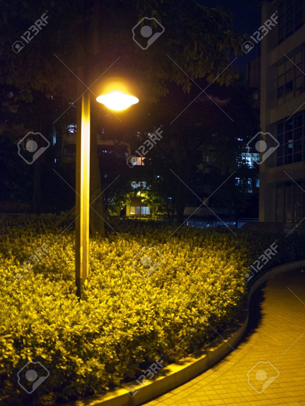 街灯の光のプールの公園の夜景です 歩道には 光が反映しています 光の彼方には 密な植生です の写真素材 画像素材 Image