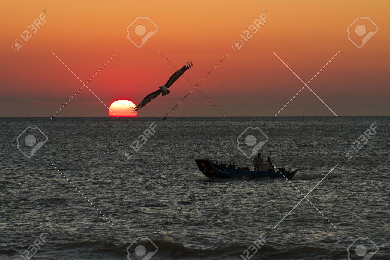 イーグルの飛ぶ美しい夕日に対して魚船で海の上 家に帰る の写真素材 画像素材 Image