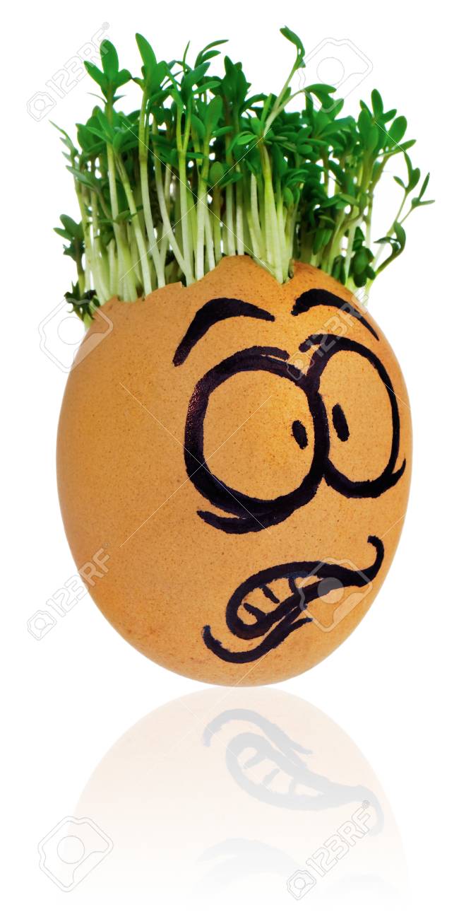 手描きのイースターエッグは 面白い 恐ろしい 恐ろしい 驚いた 髪のようなクレスを持つ男の顔 キャラクターの髪型のためにスタイル化されたクレソン わずかな反射と白い背景に自然な色の卵 の写真素材 画像素材 Image