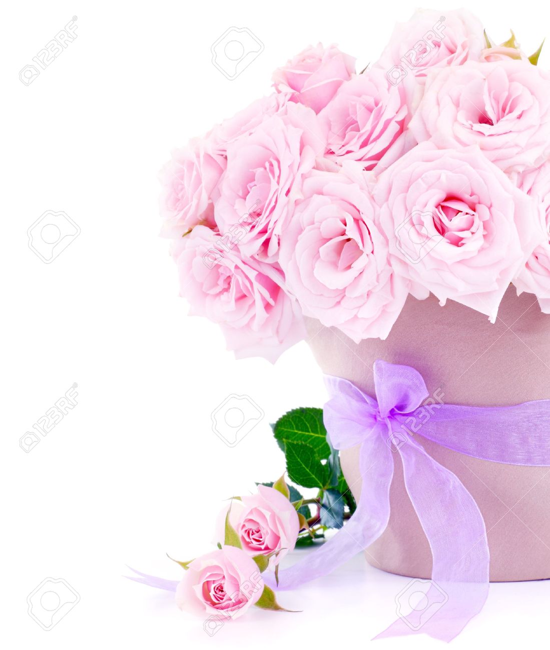 Pot of pink fresh roses, beautiful flowers isolated on white background - 9763263 Pot of pink fresh roses, beautiful flowers isolated on white background - 9763263