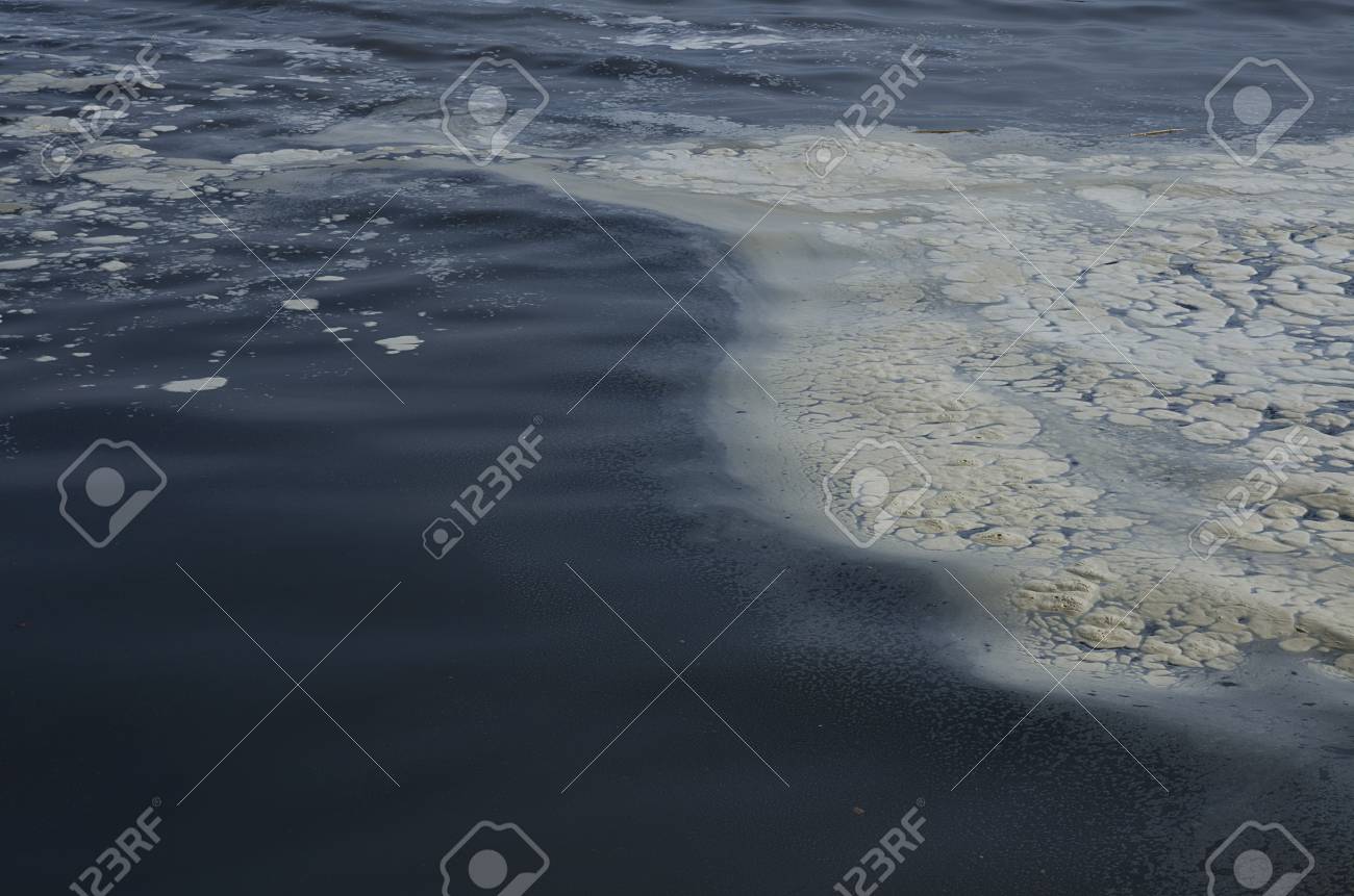 Dechets De La Ville De Polluer La Mer Adriatique Italie Banque D Images Et Photos Libres De Droits Image