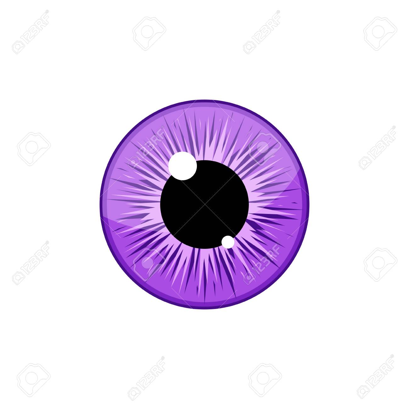 human violet eyeball iris pupil isolated on white background