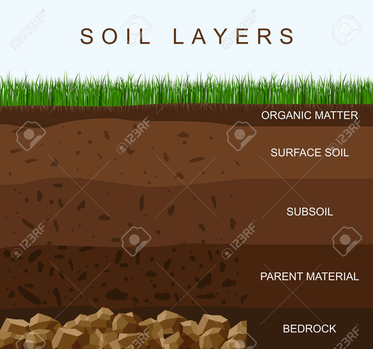 Soil layers diagram earth texture, stones. Ground with green grass on top. Mineral particles, sand, humus and stones, natural fertilizer. Geology infographics. Education for kids. Vector illustration - 158628435 Soil layers diagram earth texture, stones. Ground with green grass on top. Mineral particles, sand, humus and stones, natural fertilizer. Geology infographics. Education for kids. Vector illustration - 158628435