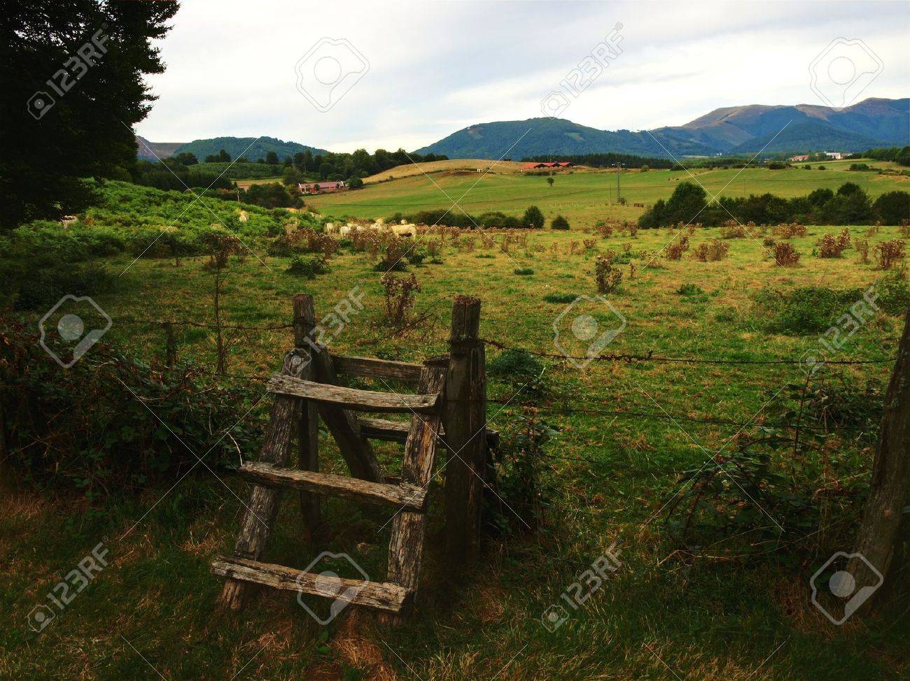 countryside fence stock photo picture and royalty free image image