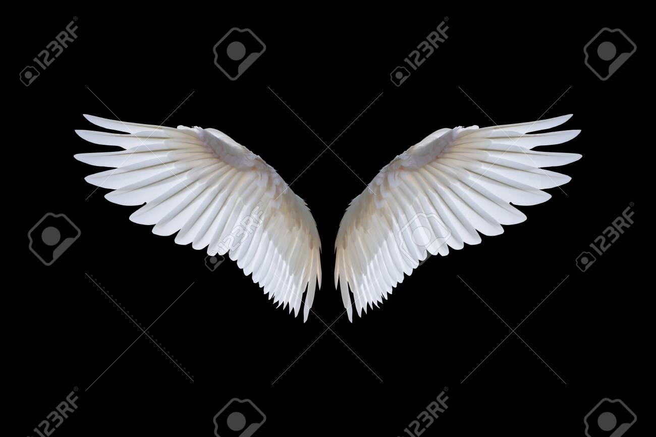 White angel wings isolated on a black - 135620699 White angel wings isolated on a black - 135620699