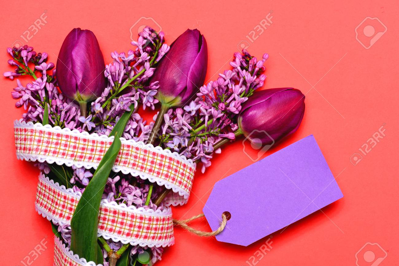 lilac flowers and pink