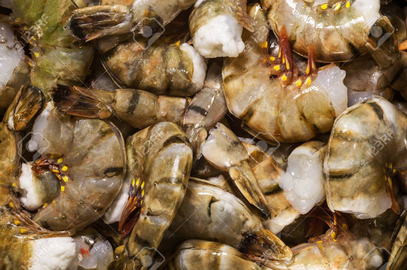 頭と料理のカップオリーブオイルニンニク準備することがなく新鮮で濡れた生タイガー海老 車海老 の写真素材 画像素材 Image