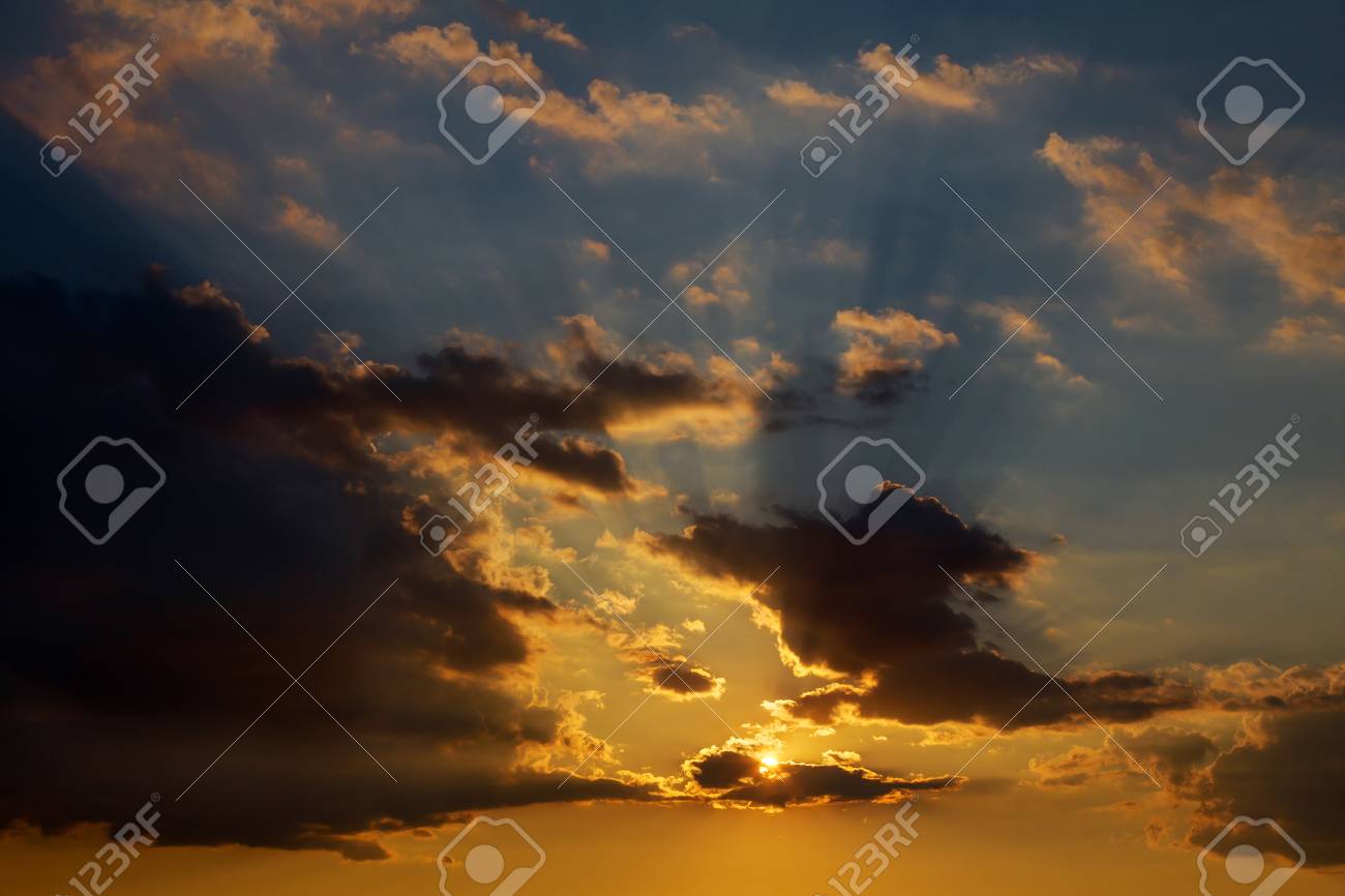 Hd限定ピンク 夕焼け 最高の花の画像
