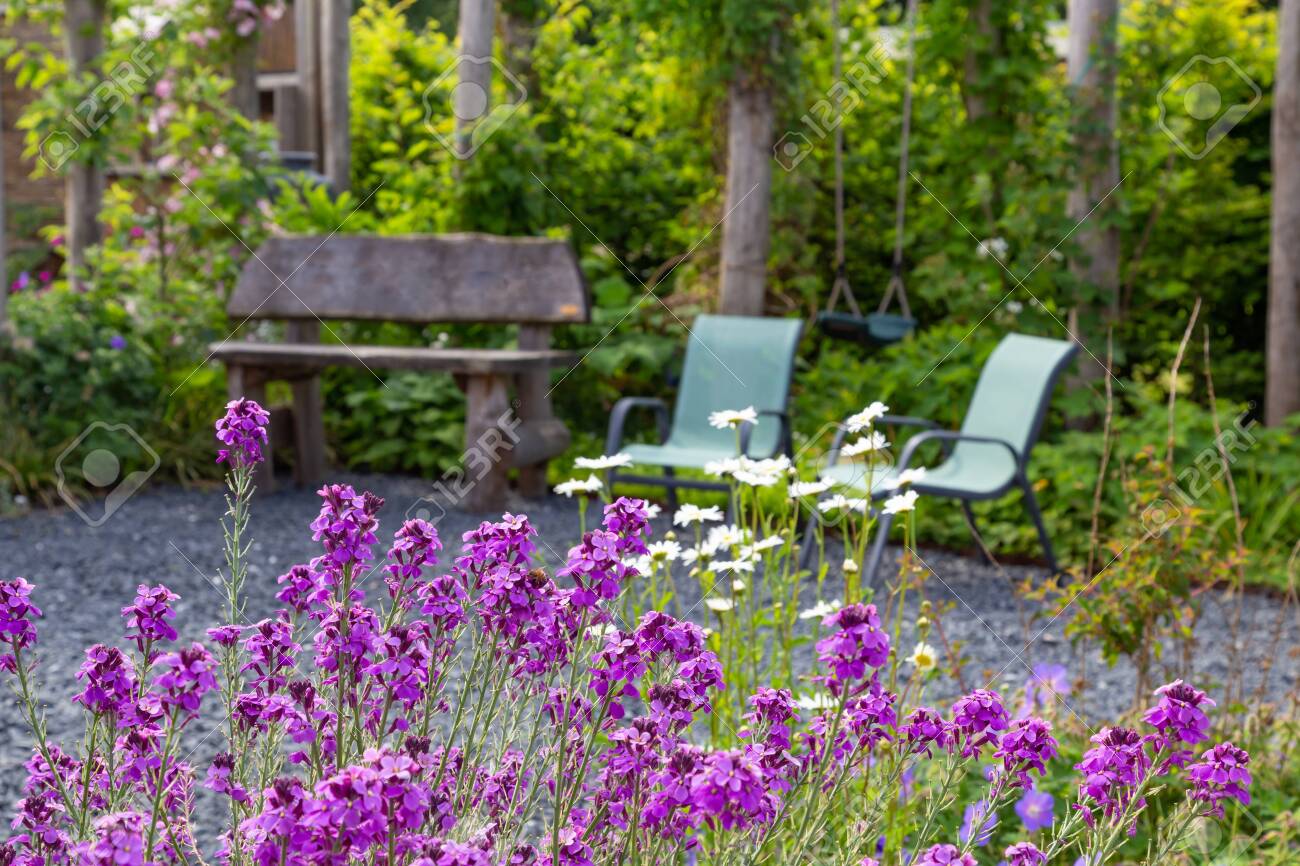 Naturral Garden design with wooden bech and chairs. - 148069548 Naturral Garden design with wooden bech and chairs. - 148069548