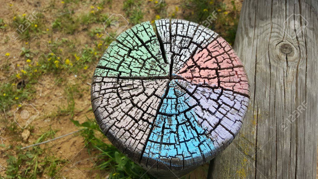 Tree Stump Colorful Painted Outdoor Decorative Stock Photo