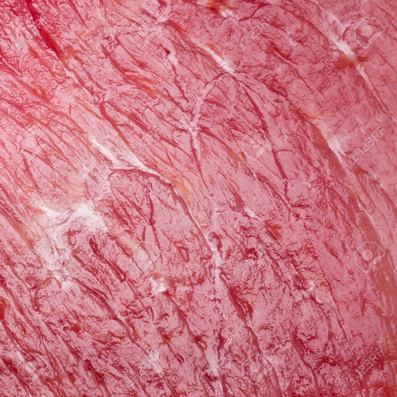 赤肉のテクスチャ の写真素材 画像素材 Image