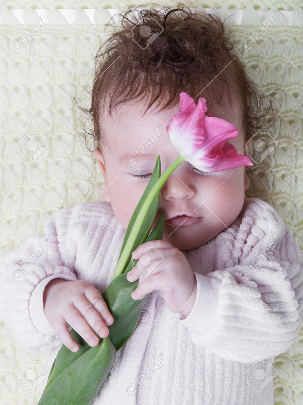 Portrait D Un Bebe Qui Dort Avec Une Fleur De Tulipe Banque D Images Et Photos Libres De Droits Image