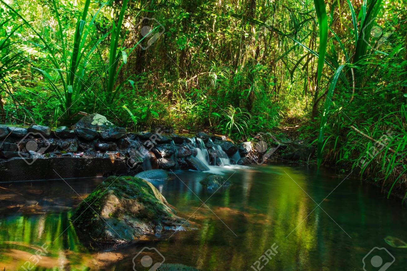 Beautiful mountain stream flow through abundant forests in rainforest of Koh yao yai,Phang Nga,Thailand - 137967241 Beautiful mountain stream flow through abundant forests in rainforest of Koh yao yai,Phang Nga,Thailand - 137967241