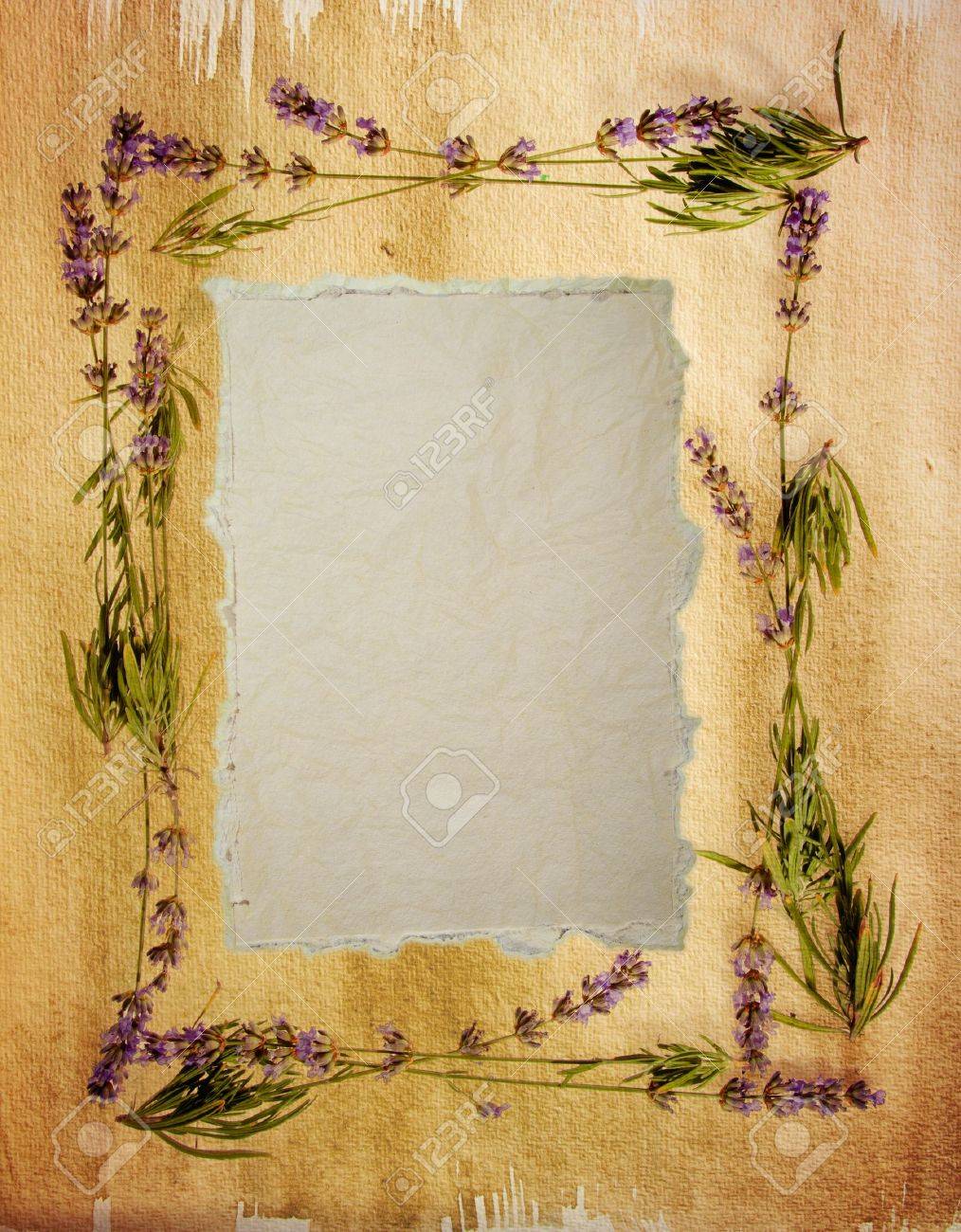 Watercolour lavender frame with a distressed vintage feel Sheet of aged watercolour paper in the centre for your message - 14044052 Watercolour lavender frame with a distressed vintage feel Sheet of aged watercolour paper in the centre for your message - 14044052