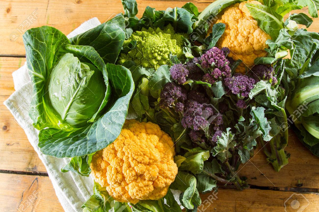 Cornucopia of vegetables from the brassicaceae family: yellow cauliflower, purple sprouting broccoli, cabbage, Romanesco cauliflower with its beautiful fractal shapes. - 50566355 Cornucopia of vegetables from the brassicaceae family: yellow cauliflower, purple sprouting broccoli, cabbage, Romanesco cauliflower with its beautiful fractal shapes. - 50566355