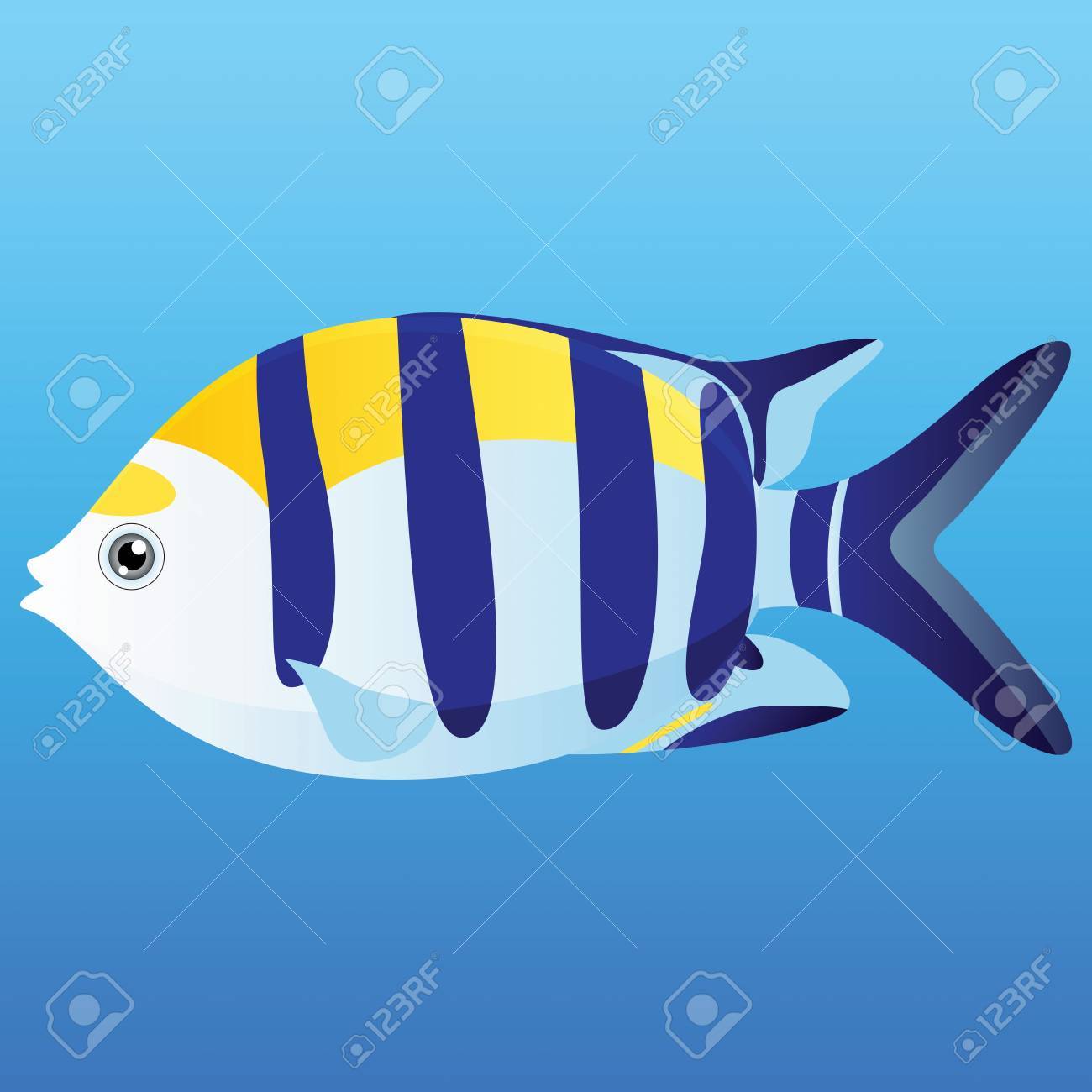 青い背景に黄色 青および白いインド太平洋 Seargent の魚のイラストのイラスト素材 ベクタ Image