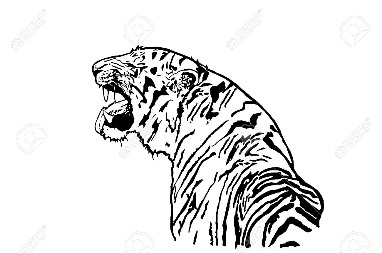 風水虎 黒と白の虎の絵を描く の写真素材 画像素材 Image