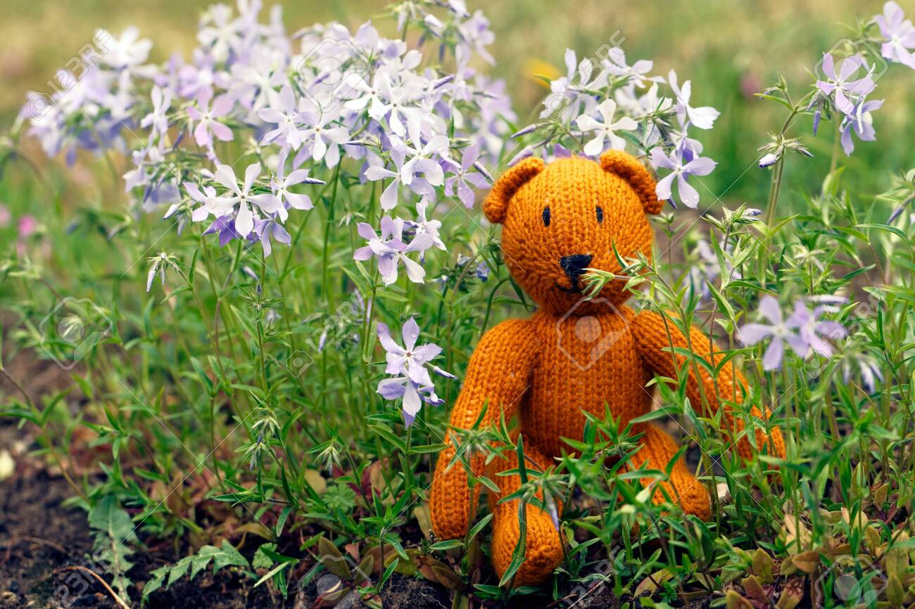 teddy bear garden