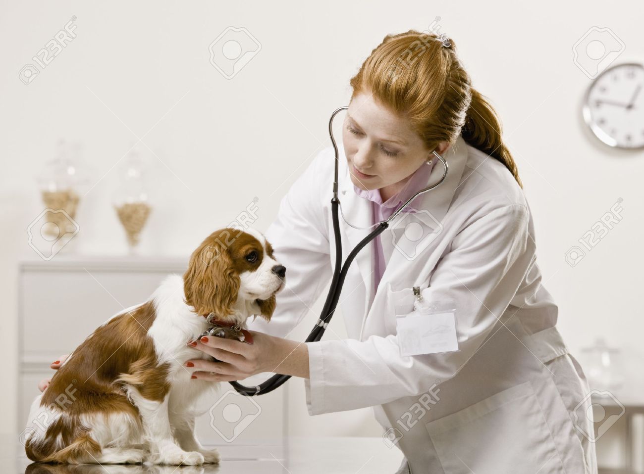 Image result for picture of redhead woman veterinarian