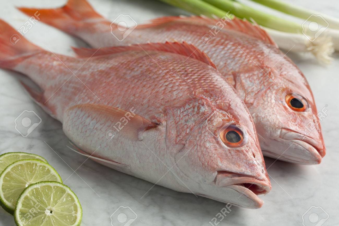 Fresh red snappers ready to cook - 31741468 Fresh red snappers ready to cook - 31741468