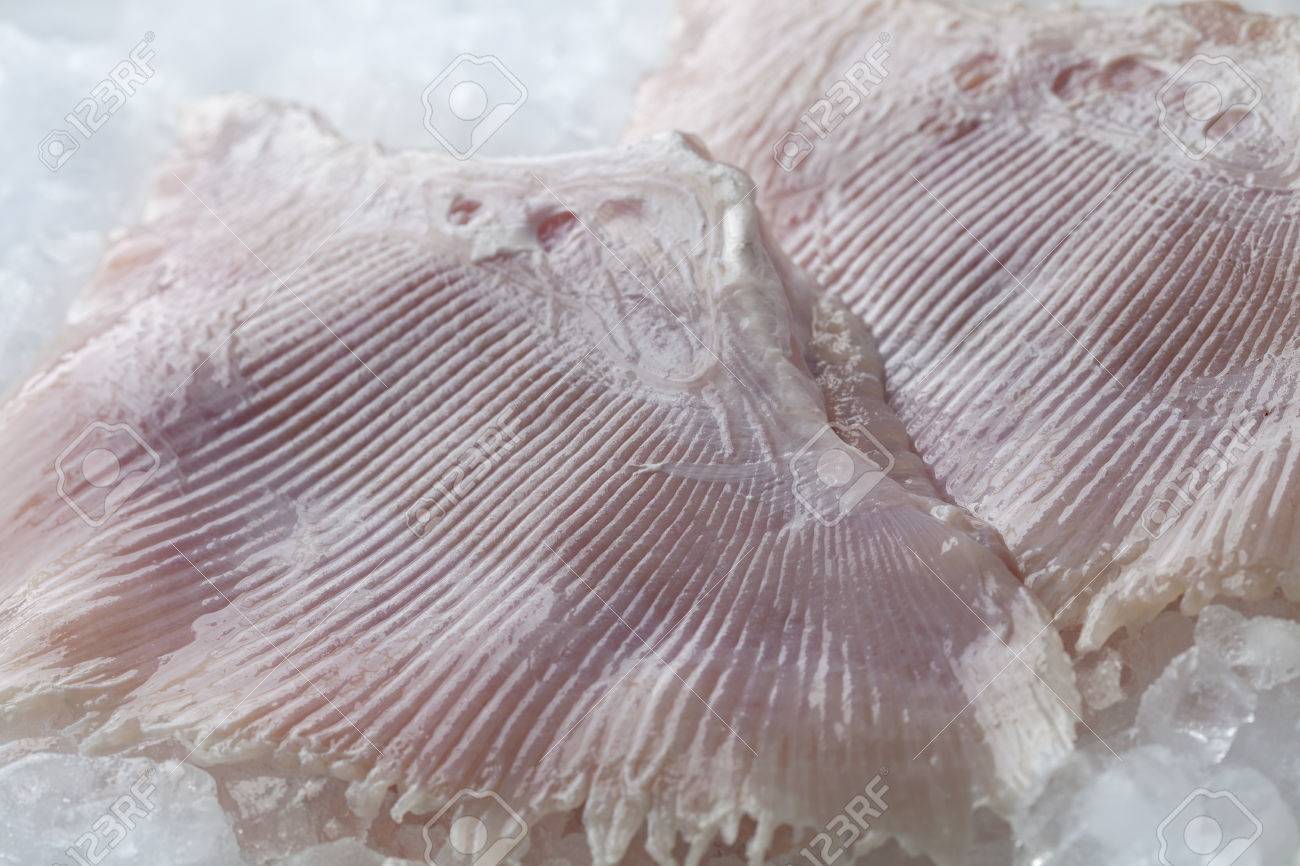 Les Ailes De Poisson De Raie Crue Fraiche Sur La Glace Se Bouchent