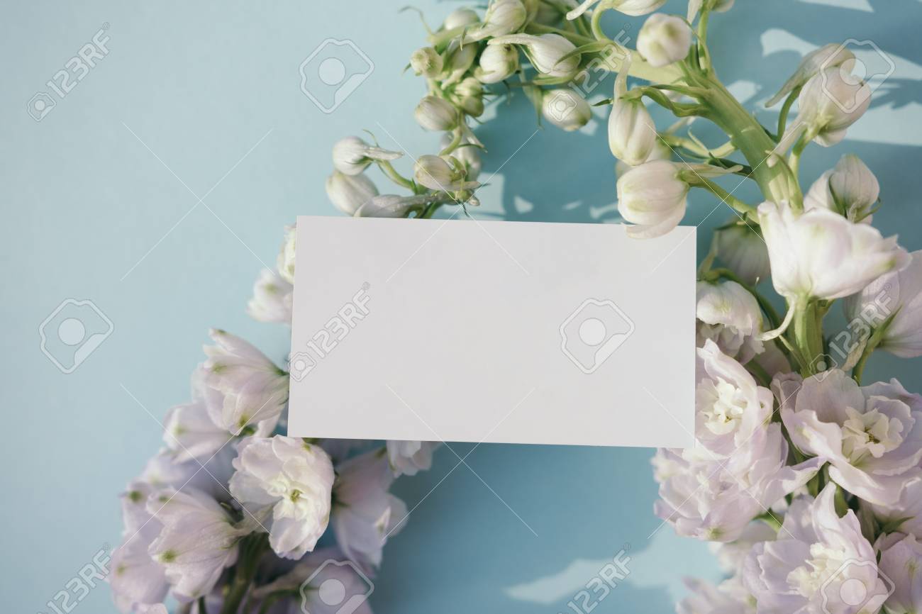 Download Blank Business Card Mockup With Fresh Delphinium Flowers On Pale Blue Background Stock Photo Picture And Royalty Free Image Image 75633974