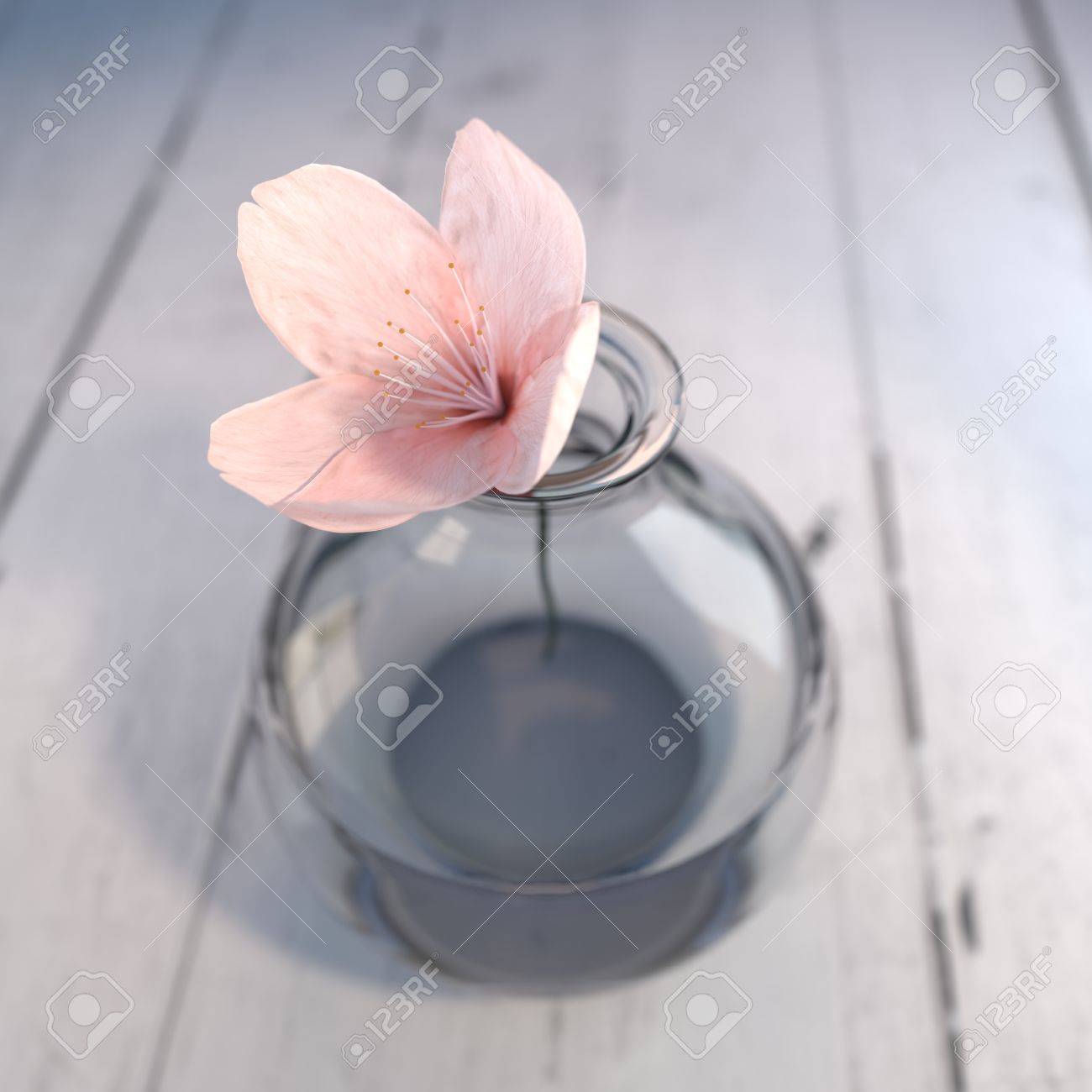 木製の表面ガラスの花瓶の桜の花のイラスト の写真素材 画像素材 Image