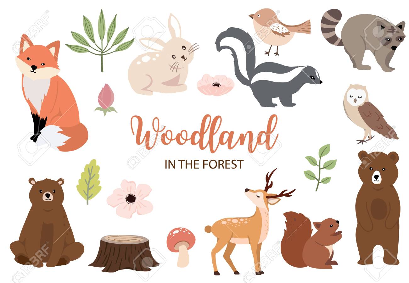 cute-woodland-object-collection-with-bear-rabbit-fox-skunk-mushroom-and-leaves-vector-illustration-for-icon-logo-sticker-printable-royalty-free-svg-cliparts-vectors-and-stock-illustration-image-139361536