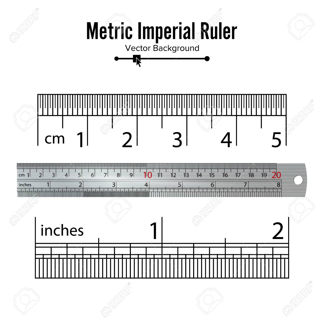 metric imperial rulers vector