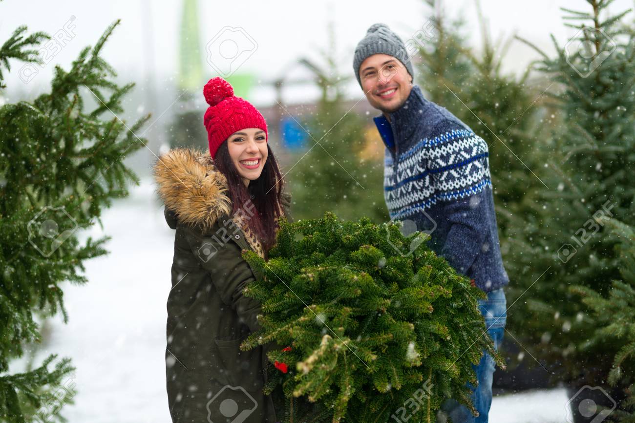 who sells christmas trees