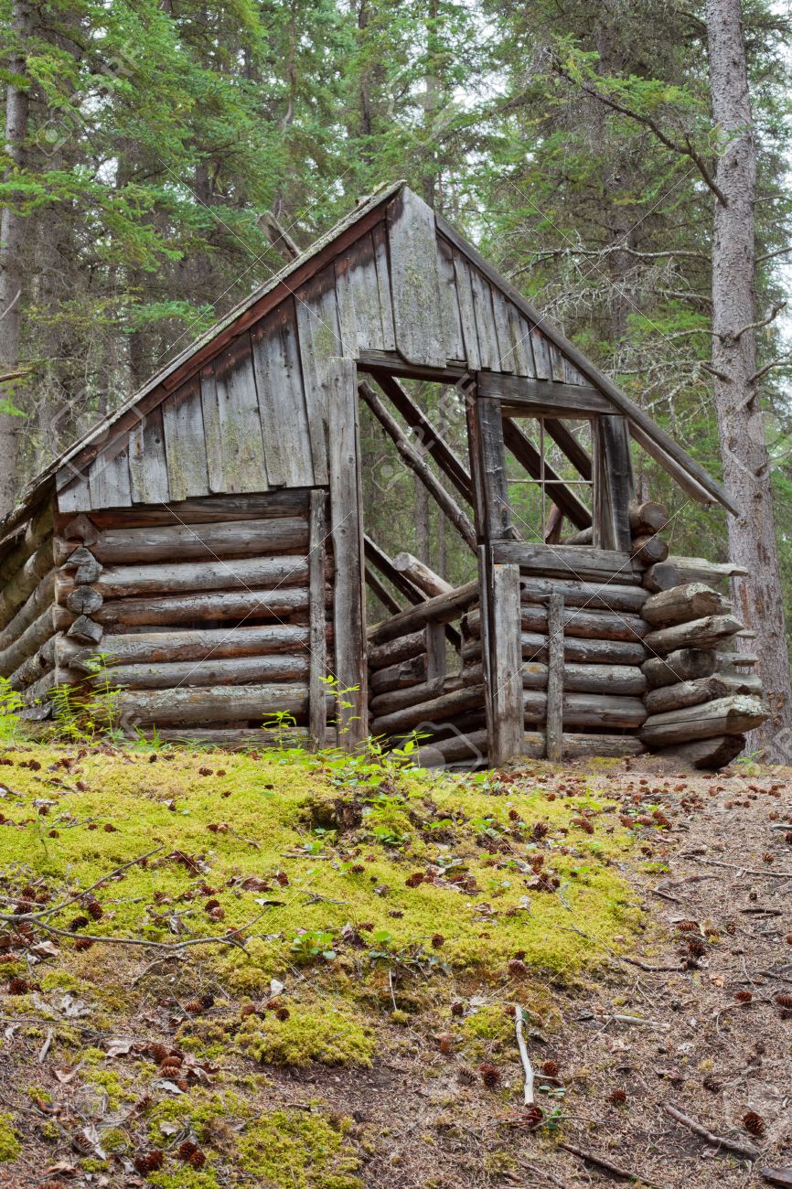 ユーコン準州 カナダの寒帯の森林の大河に隠された古いのユーコン準州の丸太小屋の腐敗破滅 の写真素材 画像素材 Image