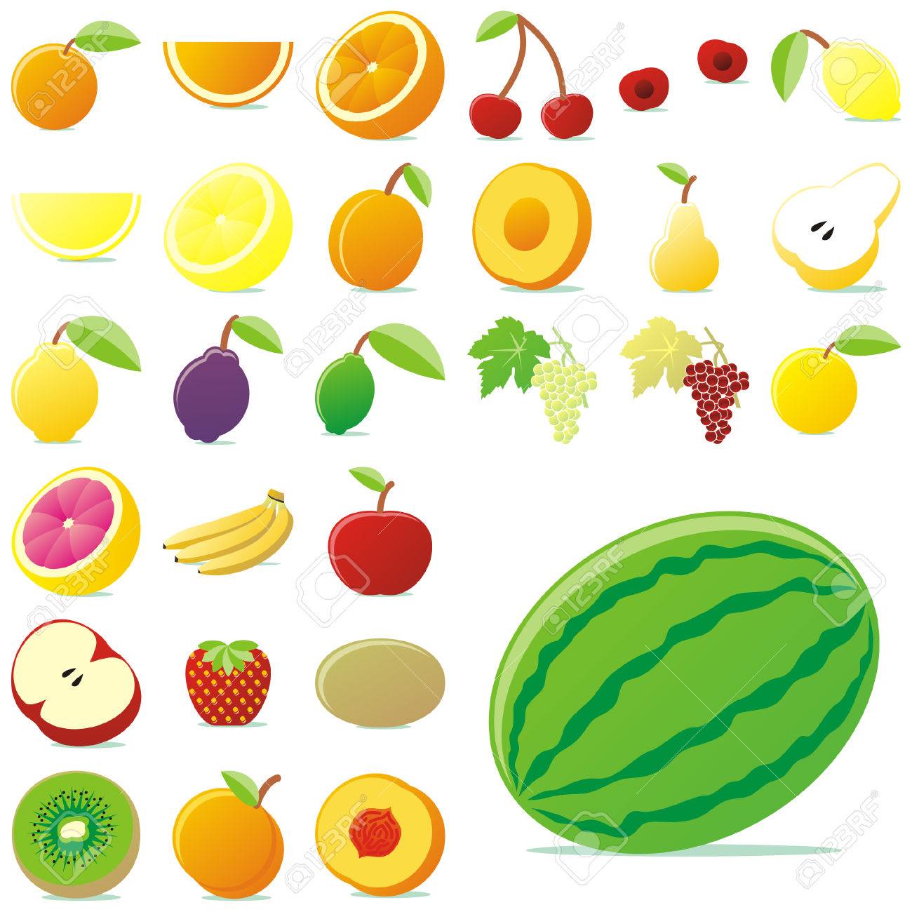 fully editable vector vector fruits with details royalty free