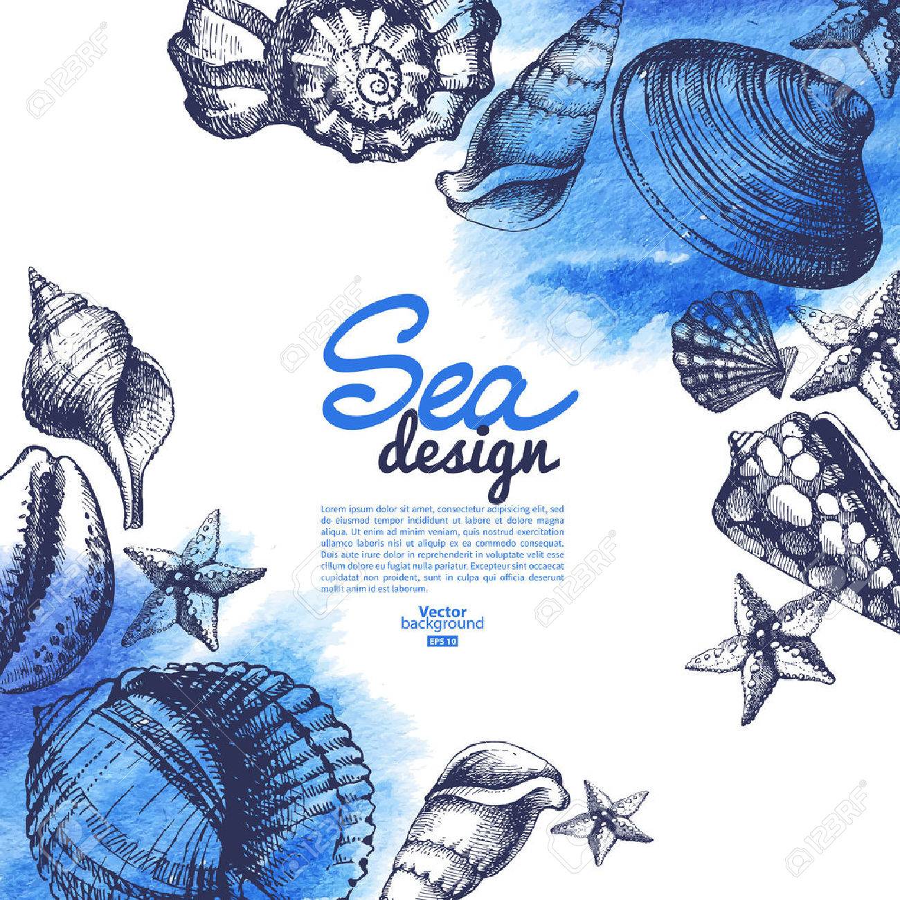 貝殻の背景 海航海デザイン 手描きのスケッチと水彩ベクトル イラスト のイラスト素材 ベクタ Image