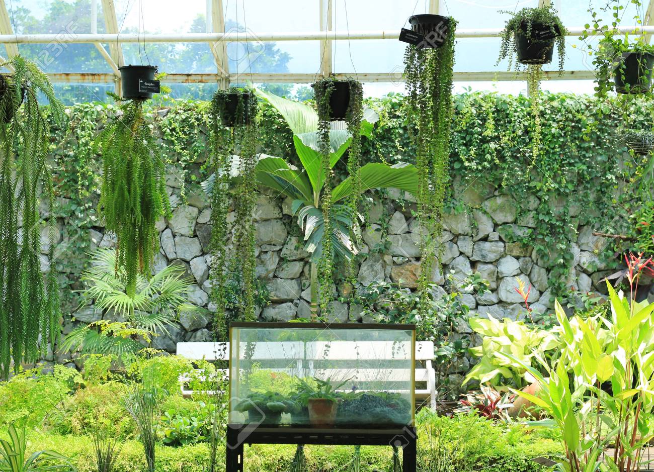 ツタにモダンなガーデン スタイル の写真素材 画像素材 Image