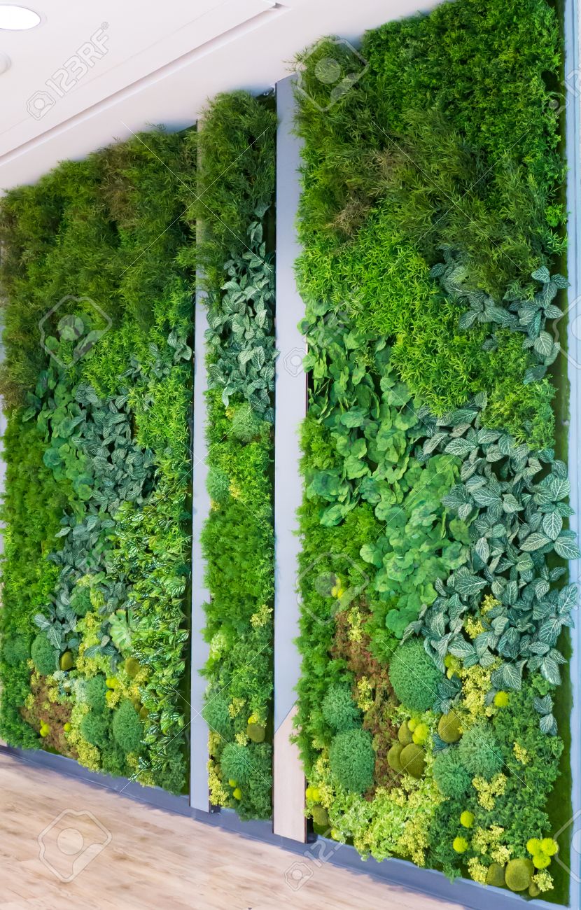 Artificial Vertical Gardens With Fake Plants On Walls Stock Photo, Picture  and Royalty Free Image. Image 53633379., image size:830x1300
